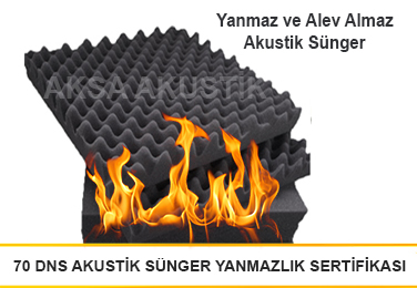 sertifika2
